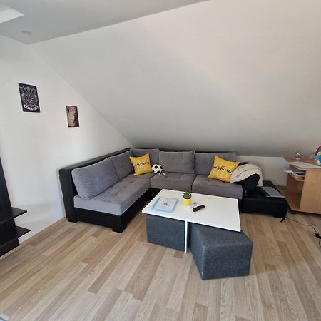 Apartman Viking Apartman Donji Milanovac Kültér fotó