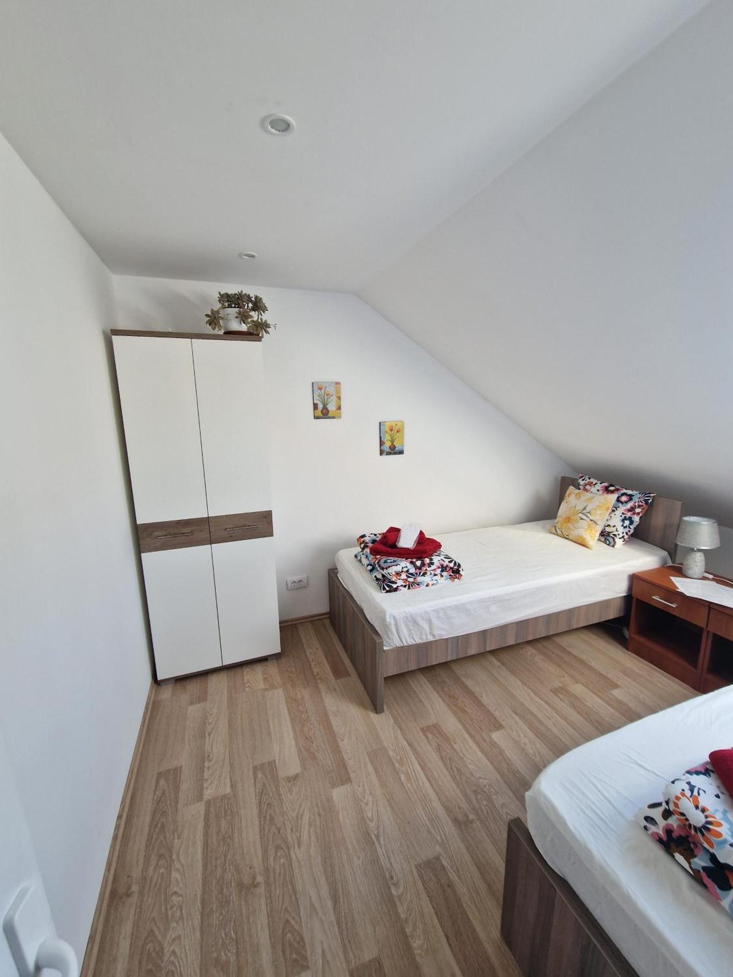 Apartman Viking Apartman Donji Milanovac Kültér fotó